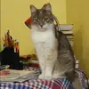 Отзыв от Яна Корчагина